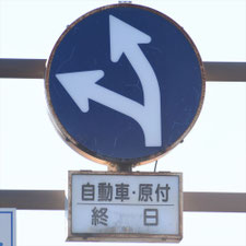 異形矢印標識(指定方向外進行禁止)。新潟県新潟市にある。