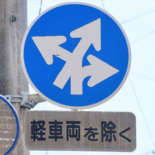 異形矢印標識(指定方向外進行禁止)。静岡県静岡市葵区にある。