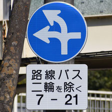 異形矢印標識(指定方向外進行禁止)。栃木県足利市にある。