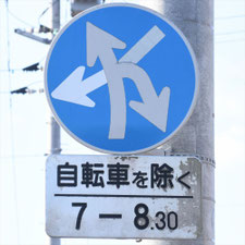 異形矢印標識(指定方向外進行禁止)。山口県山陽小野田市にある。