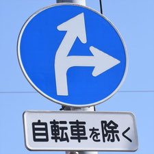 異形矢印標識(指定方向外進行禁止)。東京都板橋区にある。