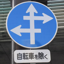 異形矢印標識(指定方向外進行禁止)。広島県広島市にある。