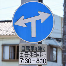 異形矢印標識(指定方向外進行禁止)。茨城県古河市にある。