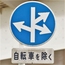 異形矢印標識(指定方向外進行禁止)。広島県府中町にある。