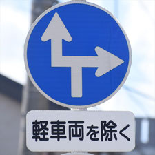異形矢印標識(指定方向外進行禁止)。静岡県静岡市葵区にある。