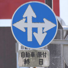 異形矢印標識(指定方向外進行禁止)。熊本県熊本市にある。
