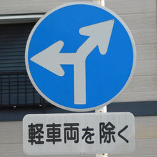 異形矢印標識(指定方向外進行禁止)。静岡県静岡市葵区にある。