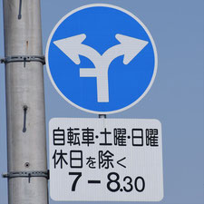 異形矢印標識(指定方向外進行禁止)。栃木県足利市にある。