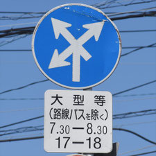 異形矢印標識(指定方向外進行禁止)。熊本県熊本市にある。