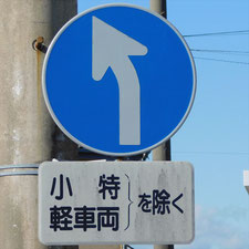 異形矢印標識(指定方向外進行禁止)。静岡県富士市にある。