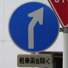 異形矢印標識(指定方向外進行禁止)。静岡県浜松市にある。