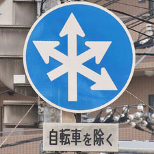 異形矢印標識(指定方向外進行禁止)。広島県広島市にある。