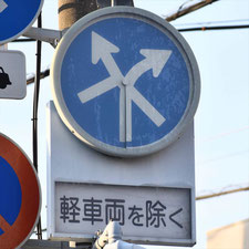 異形矢印標識(指定方向外進行禁止)。静岡県富士市にある。