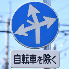 異形矢印標識(指定方向外進行禁止)。茨城県古河市にある。