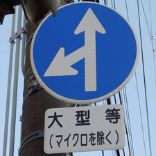 異形矢印標識(指定方向外進行禁止)。静岡県浜松市にある。