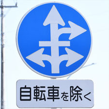 異形矢印標識(指定方向外進行禁止)。栃木県足利市にある。