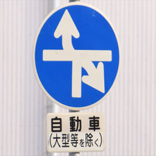 異形矢印標識(指定方向外進行禁止)。愛知県名古屋市にある。