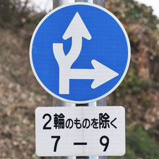 異形矢印標識(指定方向外進行禁止)。広島県広島市にある。