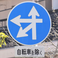 異形矢印標識(指定方向外進行禁止)。広島県呉市にある。