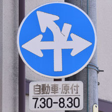 異形矢印標識(指定方向外進行禁止)。長野県諏訪市にある。