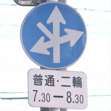 異形矢印標識(指定方向外進行禁止)。熊本県熊本市にある。