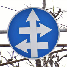 異形矢印標識(指定方向外進行禁止)。広島県広島市にある。
