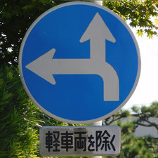 異形矢印標識(指定方向外進行禁止)。静岡県浜松市にある。