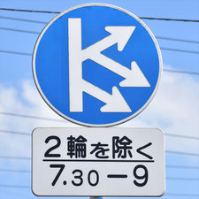 異形矢印標識(指定方向外進行禁止)。岡山県倉敷市にある。