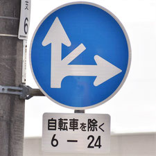 異形矢印標識(指定方向外進行禁止)。広島県広島市にある。