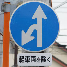 異形矢印標識(指定方向外進行禁止)。静岡県伊豆の国市にある。