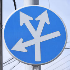 異形矢印標識(指定方向外進行禁止)。岐阜県岐阜市にある。