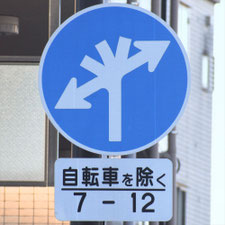 異形矢印標識(指定方向外進行禁止)。東京都大田区にある。