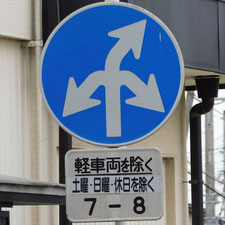 異形矢印標識(指定方向外進行禁止)。静岡県富士宮市にある。