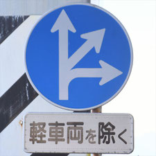 異形矢印標識(指定方向外進行禁止)。静岡県富士市にある。