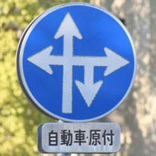 異形矢印標識(指定方向外進行禁止)。熊本県熊本市にある。