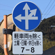 異形矢印標識(指定方向外進行禁止)。静岡県島田市にある。
