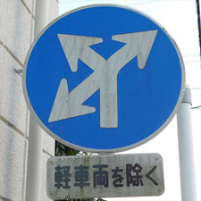 異形矢印標識(指定方向外進行禁止)。静岡県浜松市にある。