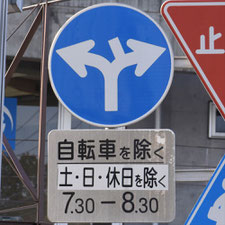 異形矢印標識(指定方向外進行禁止)。茨城県水戸市にある。
