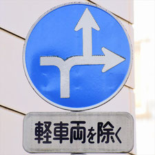 異形矢印標識(指定方向外進行禁止)。静岡県静岡市葵区にある。