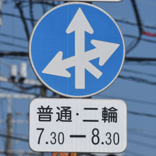 異形矢印標識(指定方向外進行禁止)。熊本県熊本市にある。