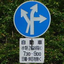 異形矢印標識(指定方向外進行禁止)。滋賀県大津市にある。