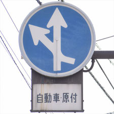 異形矢印標識(指定方向外進行禁止)。長野県軽井沢町にある。
