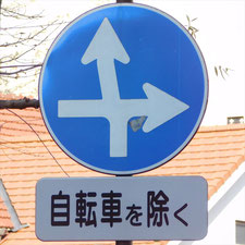 異形矢印標識(指定方向外進行禁止)。岡山県岡山市北区にある。