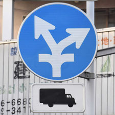 異形矢印標識(指定方向外進行禁止)。静岡県沼津市にある。