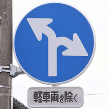 異形矢印標識(指定方向外進行禁止)。静岡県藤枝市にある。