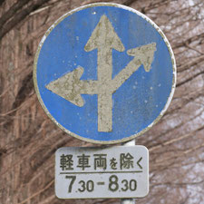 異形矢印標識(指定方向外進行禁止)。山口県美祢市にある。