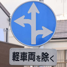 異形矢印標識(指定方向外進行禁止)。静岡県静岡市葵区にある。