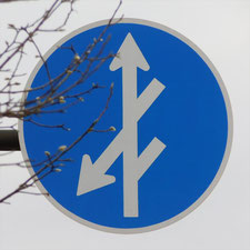 異形矢印標識(指定方向外進行禁止)。神奈川県相模原市南区にある。