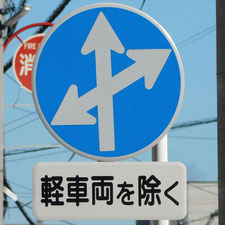 異形矢印標識(指定方向外進行禁止)。静岡県富士宮市にある。