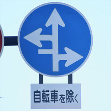異形矢印標識(指定方向外進行禁止)。岡山県岡山市にある。